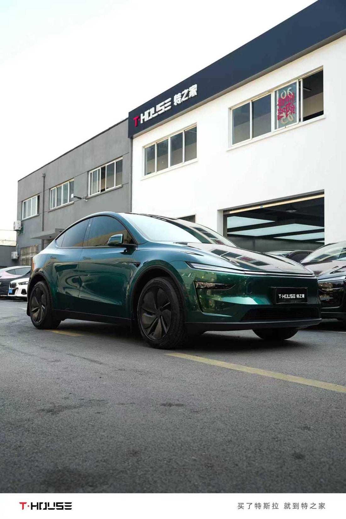 鹦鹉绿 Parrot Green Vinyl Wrap Tesla ModelY Juniper