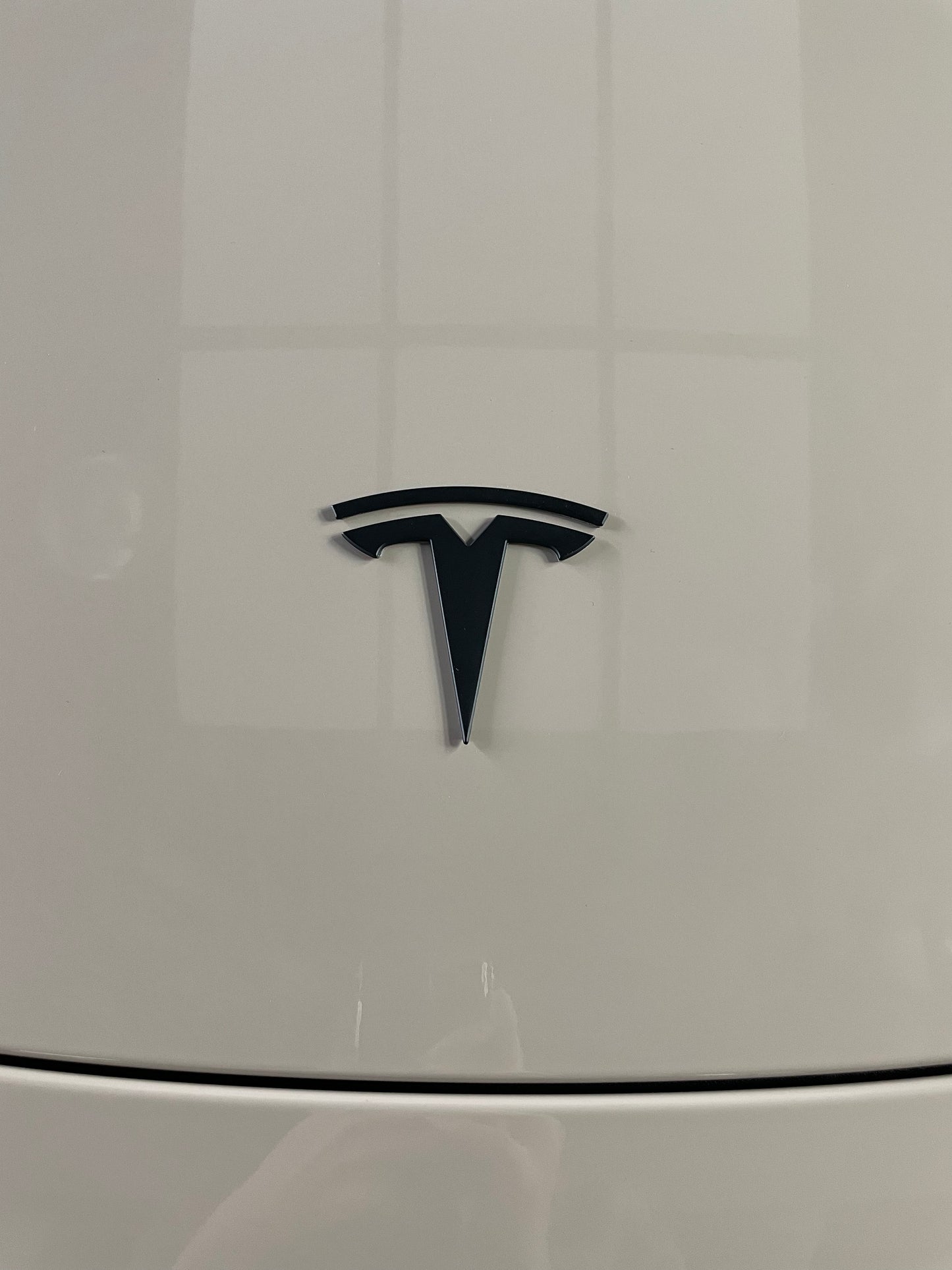 Tesla Logo Black * A Pair