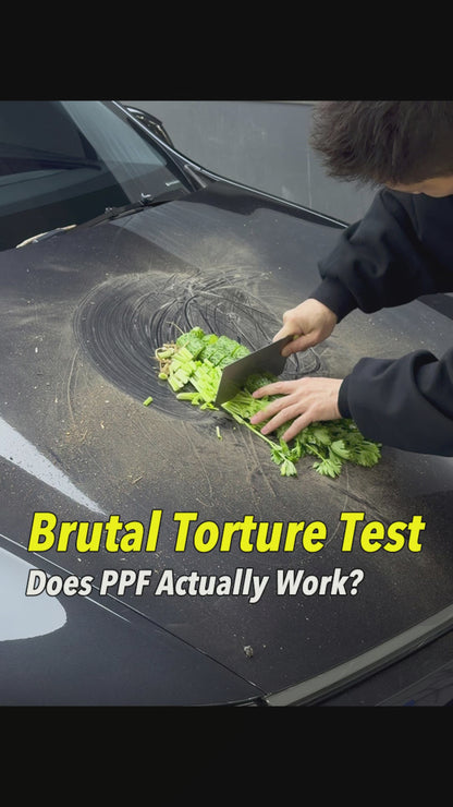 PPF-Tesla Paint Protection Expert